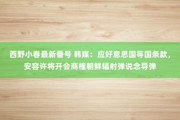 西野小春最新番号 韩媒：应好意思国等国条款，安容许将开会商榷朝鲜辐射弹说念导弹