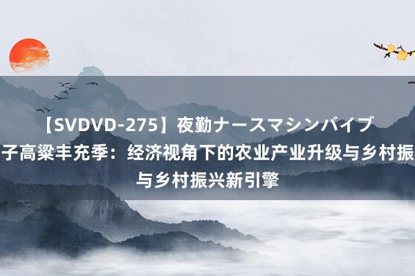 【SVDVD-275】夜勤ナースマシンバイブ 茅台红缨子高粱丰充季：经济视角下的农业产业升级与乡村振兴新引擎