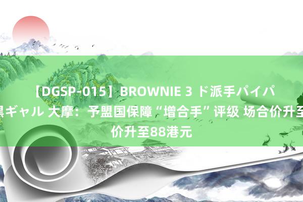 【DGSP-015】BROWNIE 3 ド派手パイパン強め黒ギャル 大摩：予盟国保障“增合手”评级 场合价升至88港元