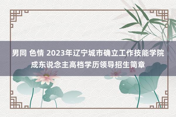 男同 色情 2023年辽宁城市确立工作技能学院成东说念主高档学历领导招生简章