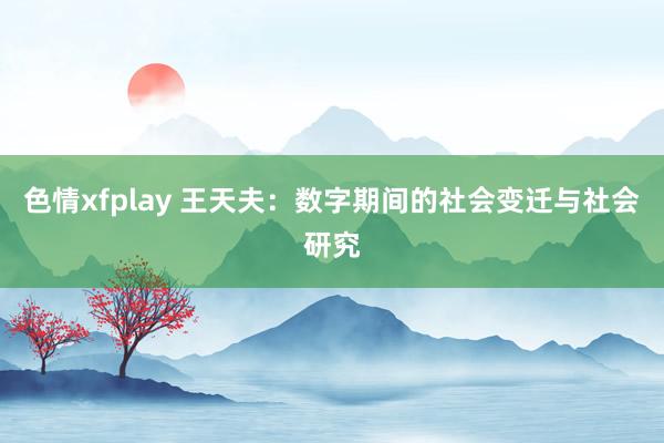 色情xfplay 王天夫：数字期间的社会变迁与社会研究